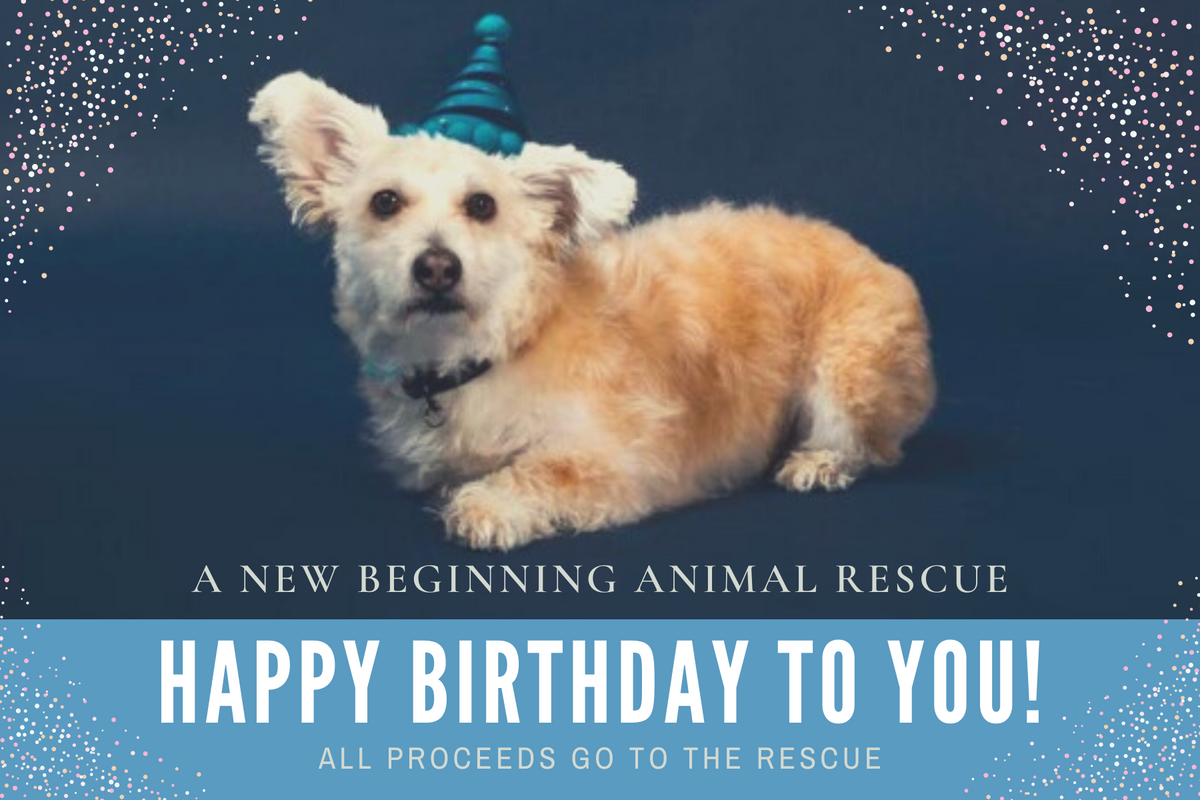 Happy Birthday! Gift Card A New Beginning Animal Rescue