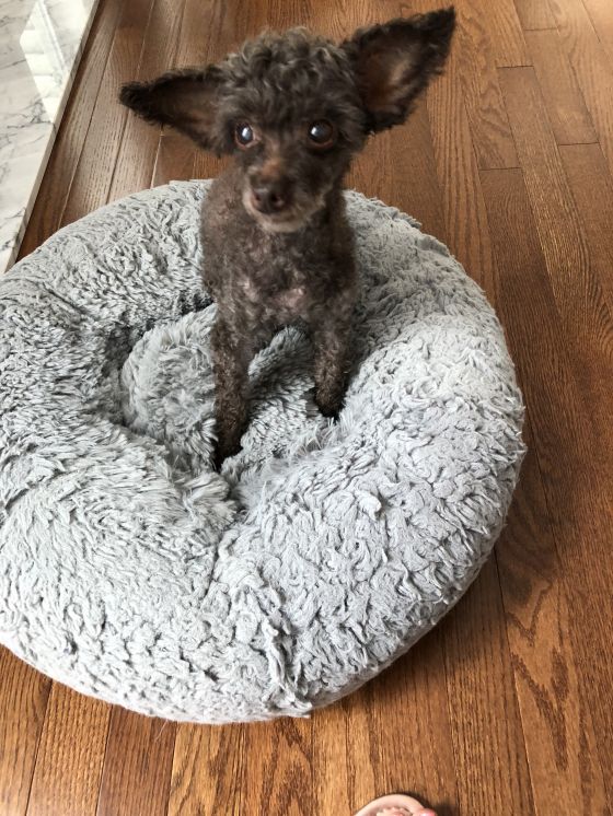 Bosco
