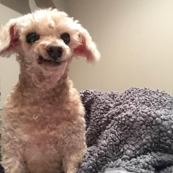 Little Coco