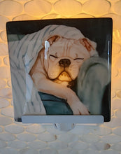 Bulldog Sleeping with Blanket Ceramic Night Light