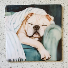 Bulldog Sleeping with Blanket Ceramic Night Light