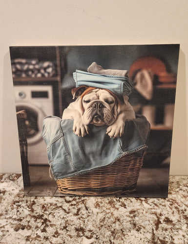English Bulldog - In Laundry Basket Solid Birch Wood Wall Art