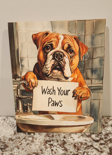 English Bulldog - 