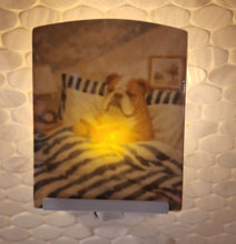 English Bulldog - Reading a Book in Bed Ceramic Night Light