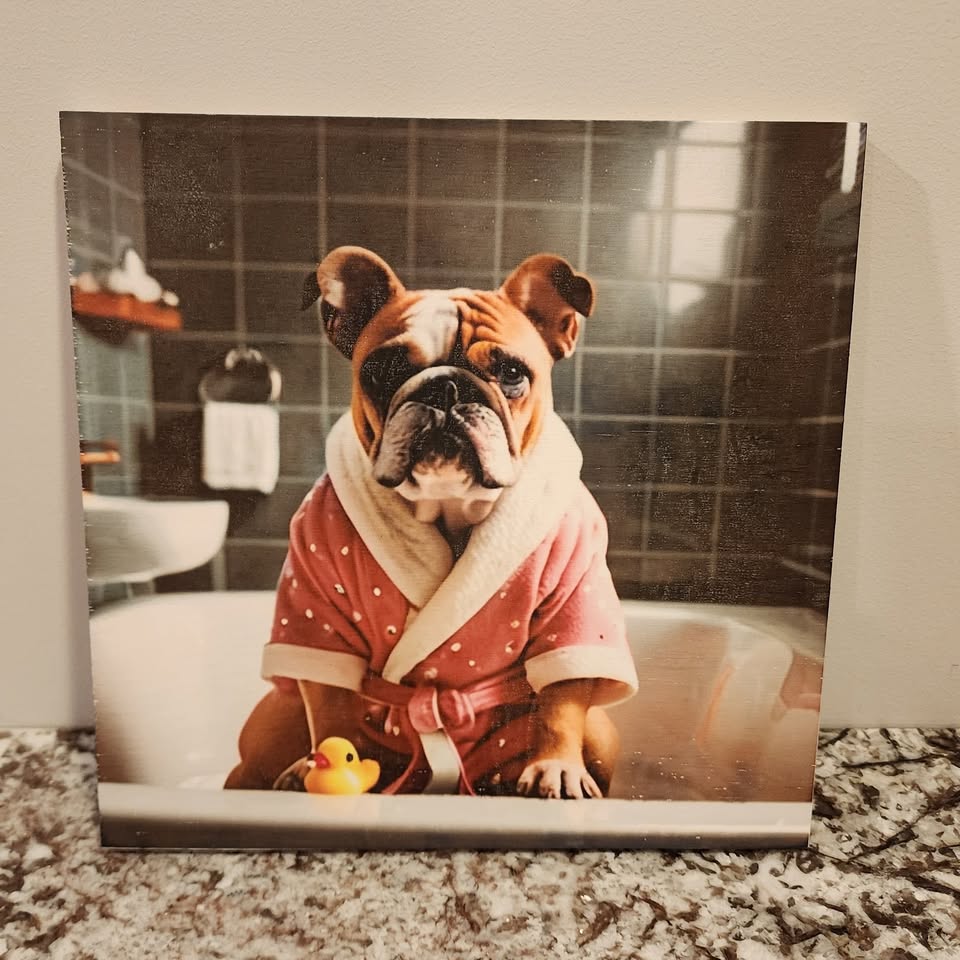 English Bulldog - Pink Robe & Rubber Ducky in Bath Tub Solid Birch Wood Wall Art