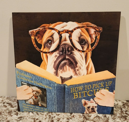 English Bulldog - 
