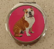 English Bulldog - Sitting on a Hot Pink Background Round Compact Mirror