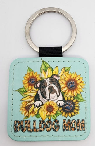English Bulldog - 