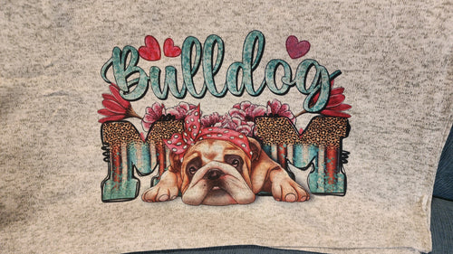 English Bulldog Lying Down- 