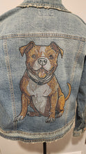 Pitbull (Brown & White) - Pitbull Sitting Rhinestone Denim Jacket