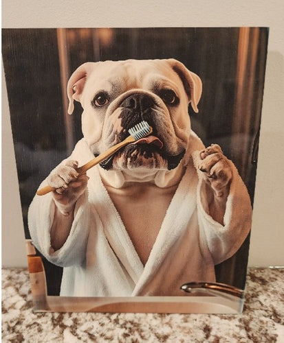English Bulldog - Brushing Teeth Solid Birch Wood Wall Art