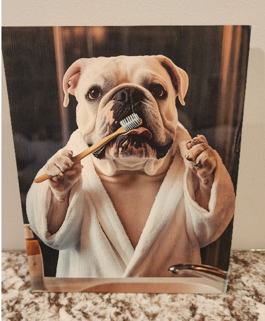 English Bulldog - Brushing Teeth Solid Birch Wood Wall Art