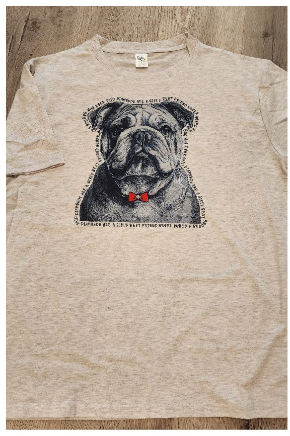English Bulldog - 