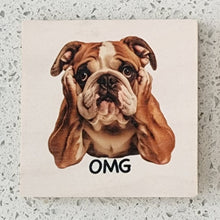 English Bulldog - "OMG" Wood Magnet