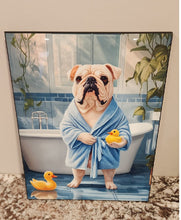 English Bulldog (White) - In Blue Robe & Rubber Ducky ChromaLuxe Wood Wall Art
