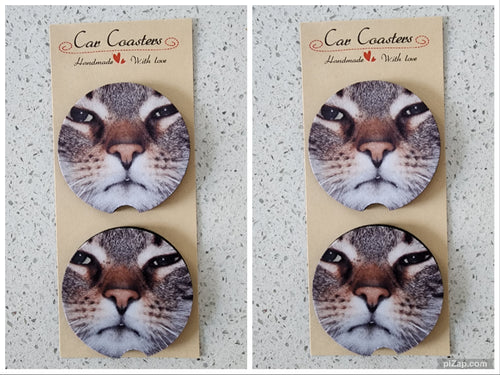 Cats Grumpy Cat Car Coasters, Set of 4