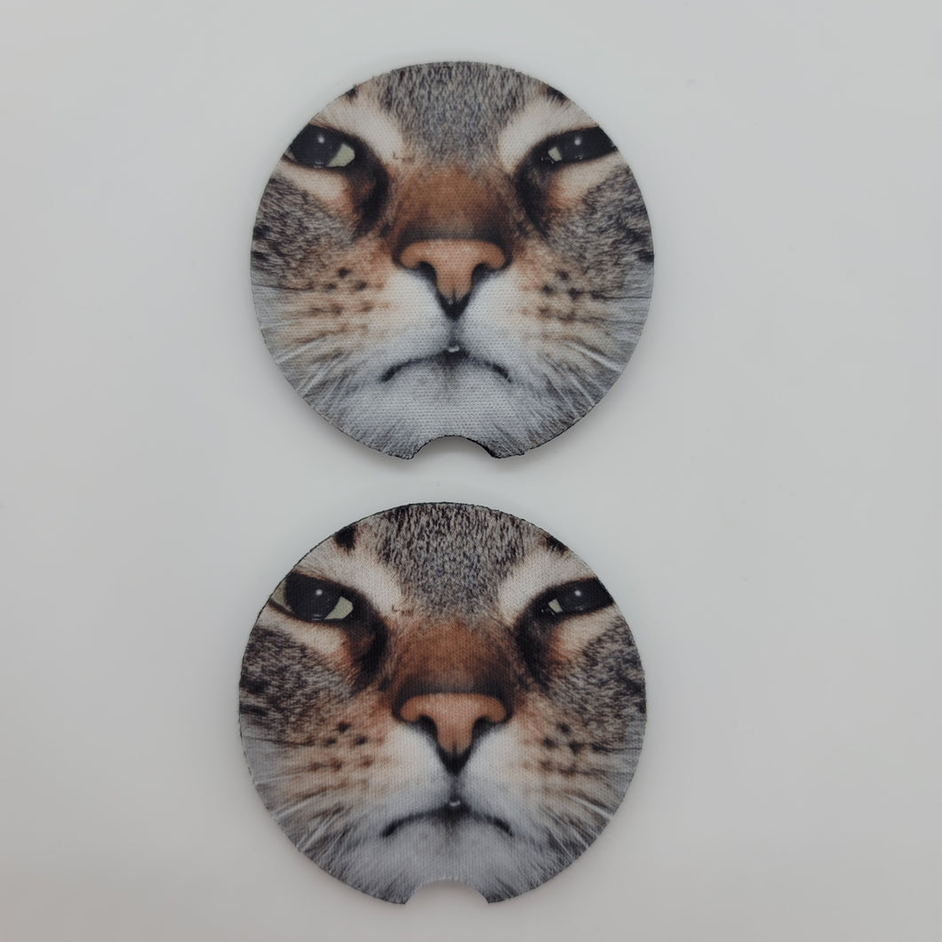 Grumpy Cat Car Coasters