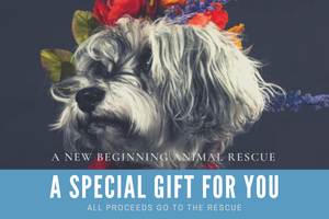 A New Beginning Animal Rescue Gift Card