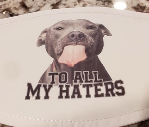 Pitbull "To All My Haters" Mask