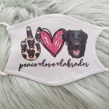 Peace Love Labs Mask (Multiple Colors)